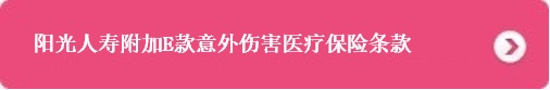 融客保B款终身重大疾病保险