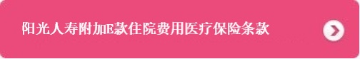 融客保B款终身重大疾病保险